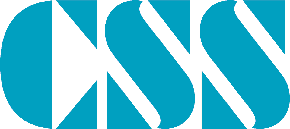 CSS Logo